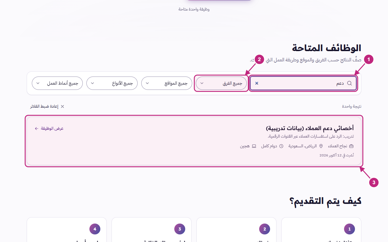 البحث والفلاتر وبطاقة الوظيفة